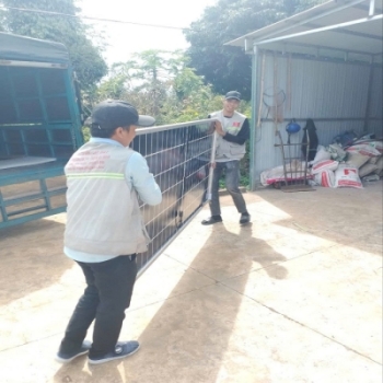 Vệ Sinh Tấm Pin Năng Lượng Mặt Trời Tại Đắk Mil, Dak Nông