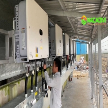 Hệ Thống Điện Năng Lượng Mặt Trời Cho Ngân Hàng Tại Huyện Ea Súp, tỉnh Đắk Lắk